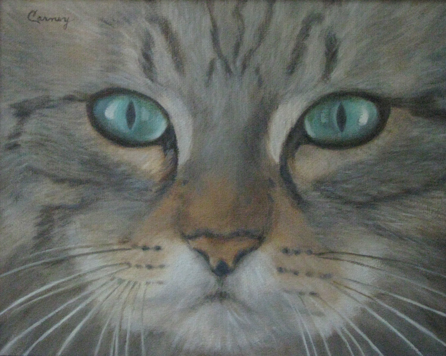 Going eye to eye with 'Lady Mems' the cat